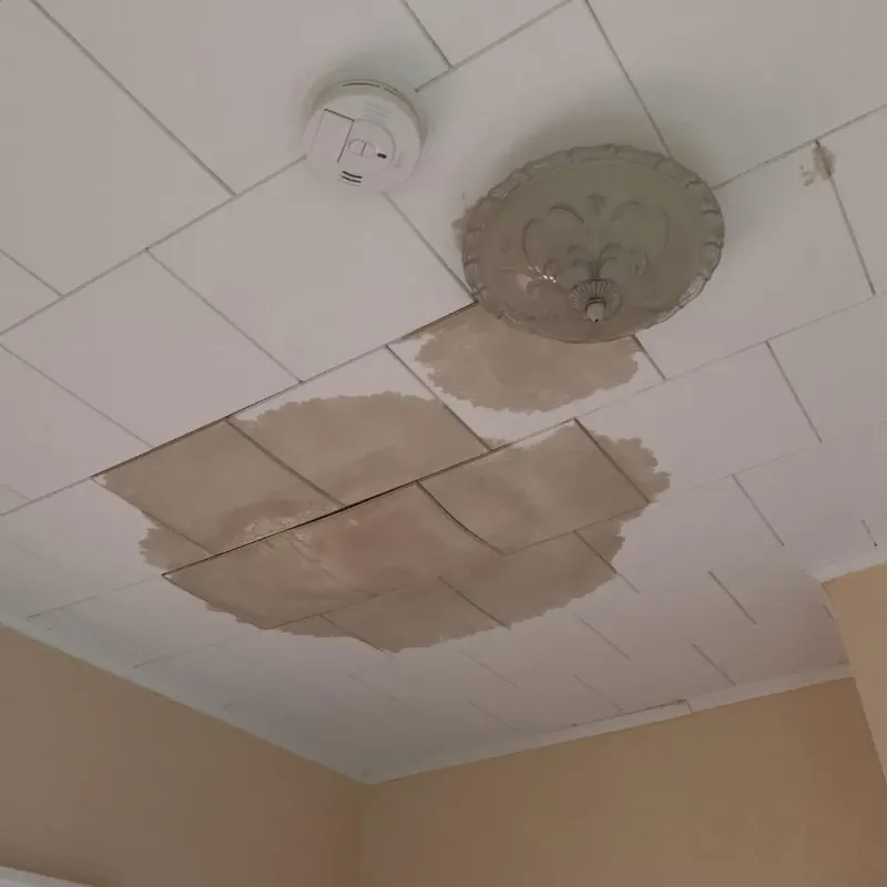 Ceiling Water Damage Repair in New Hope, MS
