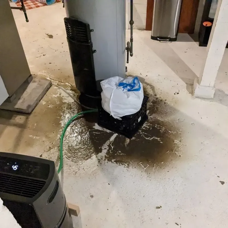 Sewage Backup Cleanup Service in New Hope, MS